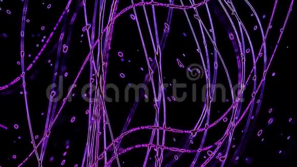 在黑色上抽象背景紫罗兰曲线视频的预览图
