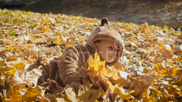 快乐好玩的户外孩子穿熊装的可爱孩子躺在黄色的秋叶里小男孩第一次进来视频的预览图
