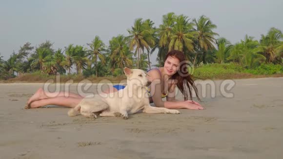 年轻的女人和一只白狗在沙滩上度假4K视频的预览图