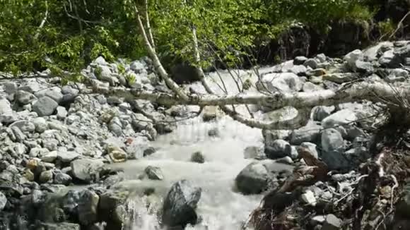 冰冷的山河与汹涌的溪流森林里汹涌的河流景色视频的预览图