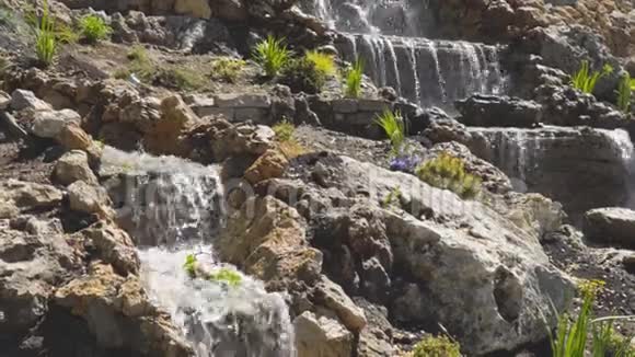 公园里或花园里的小瀑布视频的预览图