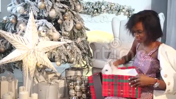 快乐的非洲女人在新年树附近和可爱的白兔玩耍假期时间礼品盒里的兔子视频的预览图