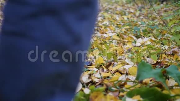 男孩走在秋天的公园里黄叶躺在脚下户外运动视频的预览图
