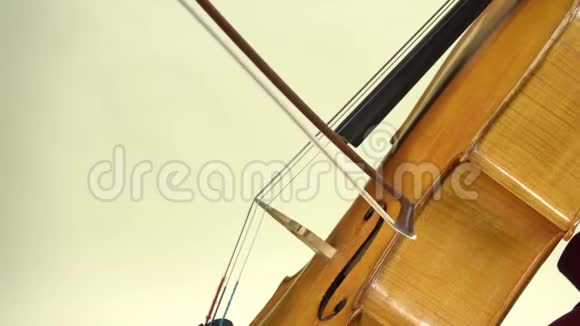 把大提琴演奏得很近白色背景视频的预览图
