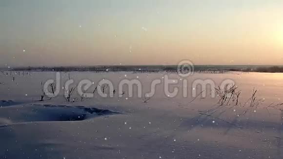 日落背景下的雪视频的预览图