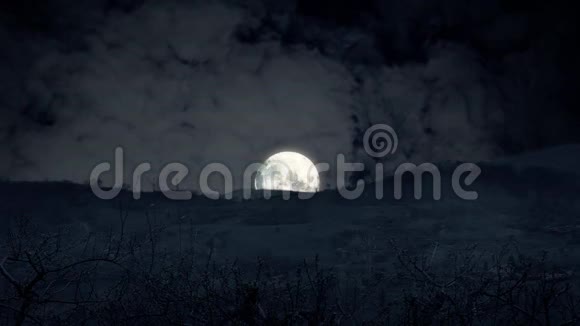夜景月大延时视频的预览图