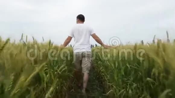 男农带着小麦在田里散步检查他的庄稼视频的预览图