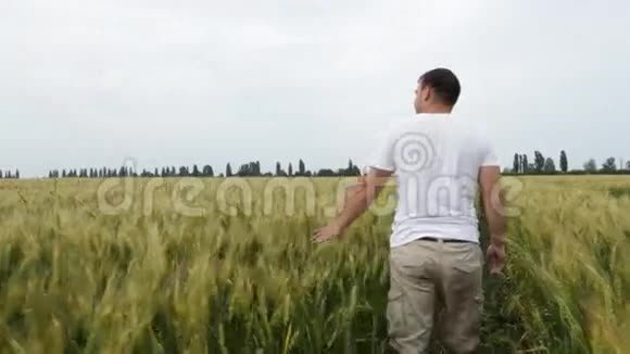 男农带着小麦在田里散步检查他的庄稼视频的预览图