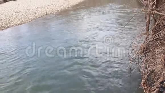 早春阴天的泰加河视频的预览图