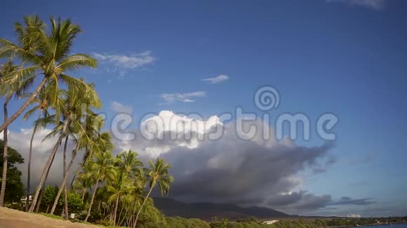 美丽的棕榈树在海洋海岸和山脉毛纳洛与活跃火山口与迷人的图片视频的预览图