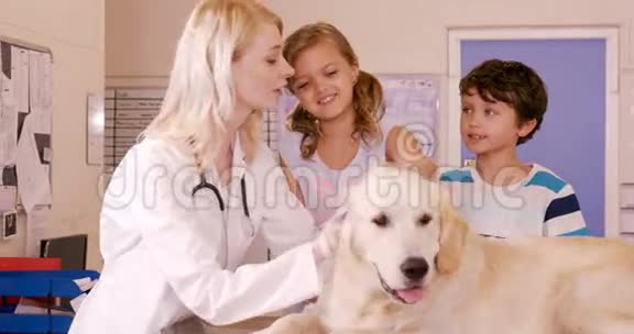 兽医和孩子们抚摸一只狗视频的预览图