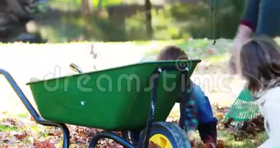 一家人拿起秋叶放进手推车视频的预览图