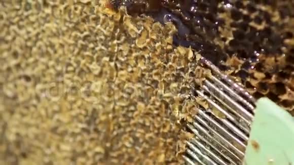 养蜂人打开蜂巢清洗蜂蜜细胞宏观的你的日记蜜蜂慢动作视频的预览图