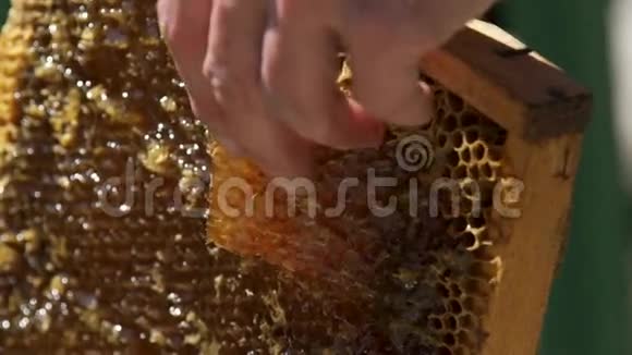 养蜂人手里拿着一块蜂蜜蜂蜜在蜂窝中飘扬宏观的慢动作视频的预览图