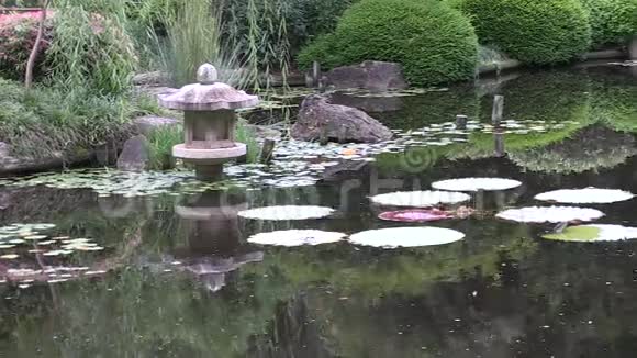 潘在正式的日式花园里穿过水潭视频的预览图