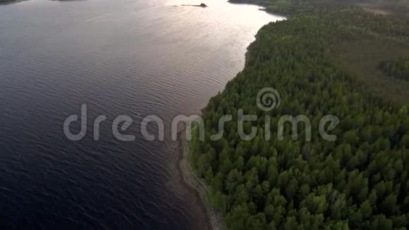 无人机沿海湾海岸的跨度岸上的森林北部景观视频的预览图