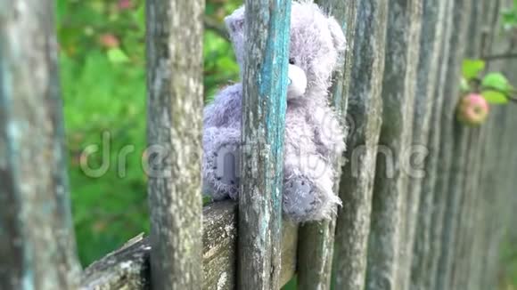 被遗弃的玩具灰色悲伤的熊坐在老式的乡间篱笆上背景是绿色的苹果树周围没有人视频的预览图