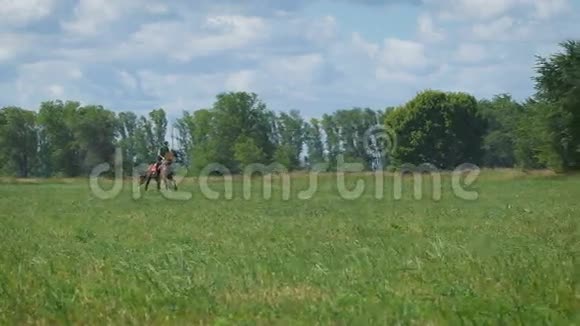 在乡下骑马的漂亮女孩驰骋从远处看视频的预览图