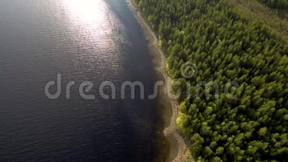 无人机沿海湾海岸的跨度岸上的森林北部景观视频的预览图