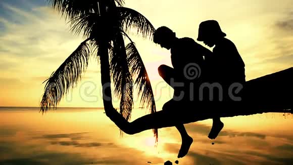 在令人惊叹的日落中年轻快乐的父亲和他的女儿坐在棕榈树上的剪影夏日快乐视频的预览图