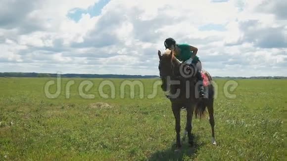 一个年轻漂亮的女人在田里骑马女士抱着马视频的预览图