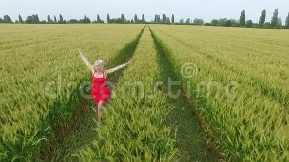 金发女人穿着红色连衣裙带着麦子跑在田野里视频的预览图