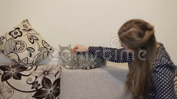 漂亮的女孩坐在家里的客厅里抚摸一只猫视频的预览图