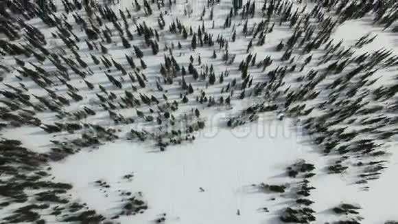 西伯利亚森林冬季山脉全景视频的预览图