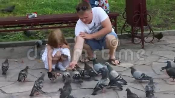 快乐的爸爸和小女儿喂鸽子视频的预览图