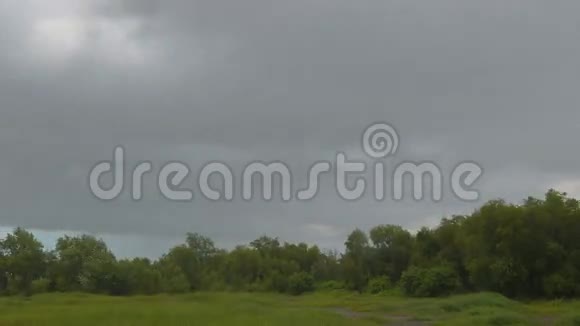 雨季暴风雨来临前雨云在森林中移动视频的预览图