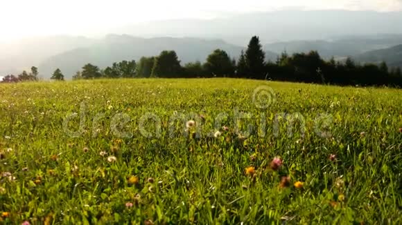 奥地利阿尔卑斯山壮丽的山景草地上绿草如茵视频的预览图