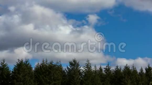 一部电影白云在美丽的蓝天上绿色的常青树上移动视频的预览图