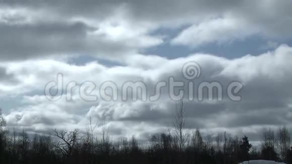 乌云密布沉闷的天空和森林在大风日的时间流逝视频的预览图