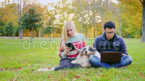 假期的技术有笔记本电脑的男人有平板电脑的女人在深受爱戴的澳大利亚牧羊犬附近视频的预览图