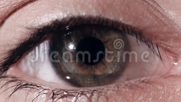 一位美丽的年轻女子的绿眼睛特写绿色人眼的特写绿色的眼睛很近人眼宏观视频的预览图