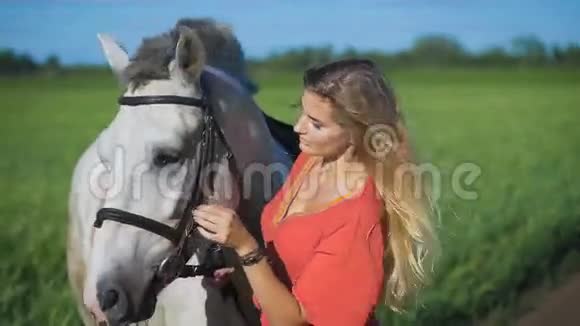美丽的金发女孩站在乡下的马边视频的预览图
