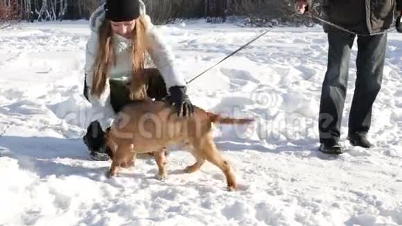 美丽的女人在冬天的户外玩耍狗视频的预览图