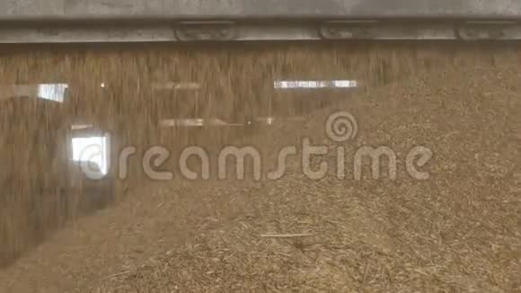 汽车卡车把玉米或燕麦倒入电梯农业视频的预览图