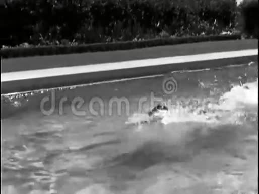 人在游泳池游泳视频的预览图