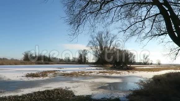 冬季草地上有洪水的哈维尔河景观德国勃兰登堡哈维尔兰背景的柳树视频的预览图