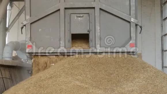 汽车卡车把玉米或燕麦倒入电梯农业视频的预览图