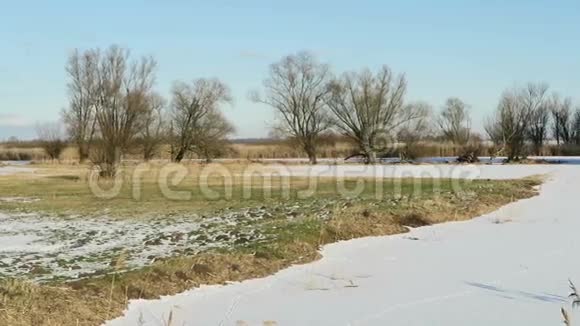 哈维尔河沙纳尔雪中有纽塔河老鼠的脚印德国哈维尔兰视频的预览图