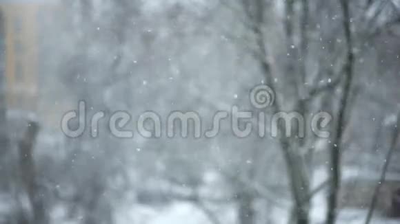 美丽的降雪视频的预览图