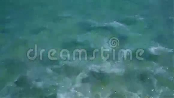 海水在浅水中冲浪视频的预览图
