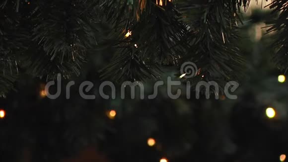 人造云杉上的灯会闪烁新年和圣诞节背景LED花环视频的预览图