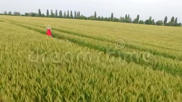 金发女人穿着红色连衣裙带着麦子跑在田野里视频的预览图
