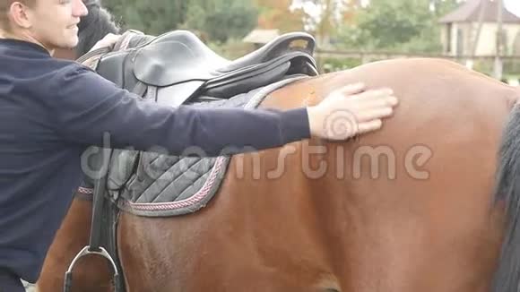 年轻人在户外抚摸棕马的身体雄性骑师用手臂抚摸和抚摸栗栗种马视频的预览图