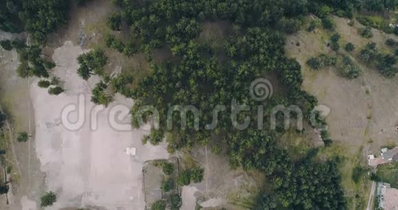 鸟瞰拍摄于松树林旁小镇房屋之上视频的预览图