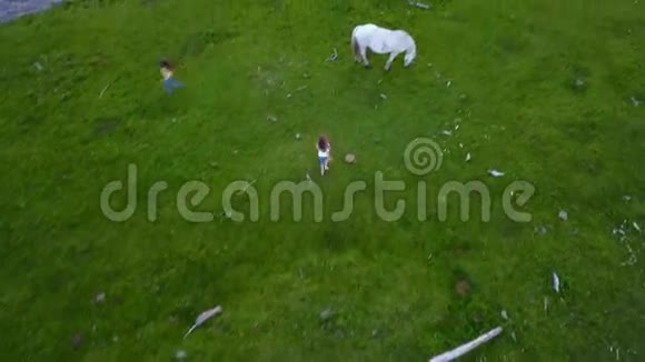空中飞行孩子们在草地上奔跑和玩耍两个小女孩姐妹花时间在户外空中摄影机拍摄视频的预览图