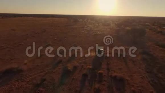 日落时分一辆越野车在纳米比亚的大草原上行驶视频的预览图